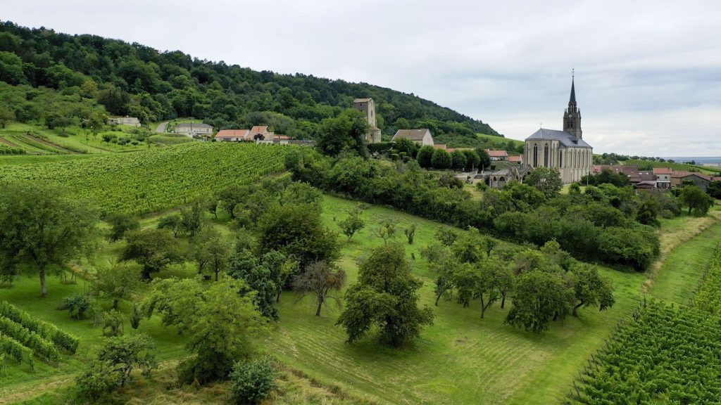 Un week-end en terres touloises