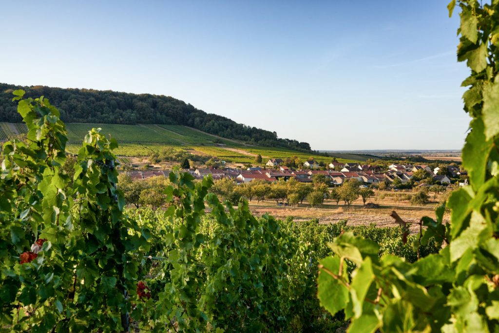 La Route Touristique des Côtes de Toul