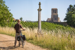 Cycliste se promenant dans les vignes. Il regarde une chapelle